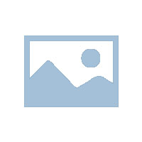 法制法律网www.fazflw.com正式上线：打造政企法务服务新标杆 【2023年3月6日】为深入贯彻依法治国战略，助力优化营商环境，国内综合性法律服务平台——法制法律